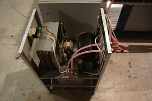 DSC01545.JPG (2279 просмотров) <a class='original' href='./download/file.php?id=151058&mode=view' target=_blank>Загрузить оригинал (4.44 МБ)</a>