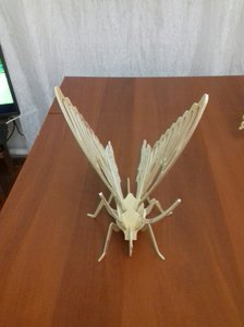 0-02-04-08c6550a7c6d2b1aa97f93379530787598bcd056da161d8edac7a623f98212da_f1bf7a64.jpg (3119 просмотров) <a class='original' href='./download/file.php?id=151657&mode=view' target=_blank>Загрузить оригинал (160.85 КБ)</a>