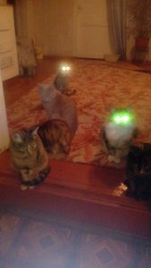 IMG-20181204-WA0005.jpg (3011 просмотров) <a class='original' href='./download/file.php?id=152200&mode=view' target=_blank>Загрузить оригинал (38.42 КБ)</a>