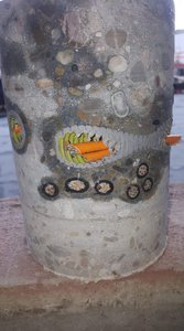 12383779.jpg (3431 просмотр) <a class='original' href='./download/file.php?id=152295&mode=view' target=_blank>Загрузить оригинал (192.21 КБ)</a>