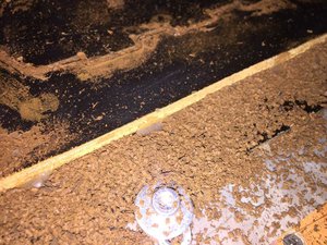 48356887_1869764956480378_3331637385984212992_n.jpg (1691 просмотр) <a class='original' href='./download/file.php?id=152788&mode=view' target=_blank>Загрузить оригинал (113.18 КБ)</a>