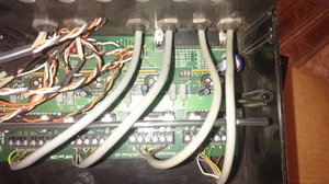 IMAG0247[1].jpg (2270 просмотров) <a class='original' href='./download/file.php?id=153503&mode=view' target=_blank>Загрузить оригинал (2.78 МБ)</a>