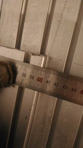 P_20181230_194813.jpg (1472 просмотра) <a class='original' href='./download/file.php?id=153600&mode=view' target=_blank>Загрузить оригинал (625.88 КБ)</a>