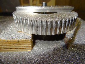 DSC05408.JPG (13305 просмотров) <a class='original' href='./download/file.php?id=154177&mode=view' target=_blank>Загрузить оригинал (6.21 МБ)</a>