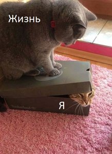 TvdHDSjv17U.jpg (3470 просмотров) <a class='original' href='./download/file.php?id=157364&mode=view' target=_blank>Загрузить оригинал (104.58 КБ)</a>