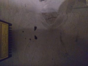 1554477331547..jpg (2886 просмотров) <a class='original' href='./download/file.php?id=160393&mode=view' target=_blank>Загрузить оригинал (2.05 МБ)</a>