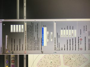 52ADB7E6-A63A-4588-A9E5-7C3AFFE3CDD2.jpeg (6228 просмотров) <a class='original' href='./download/file.php?id=160709&mode=view' target=_blank>Загрузить оригинал (5.51 МБ)</a>