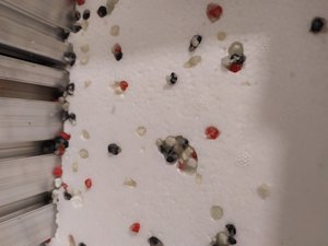 IMG_20190410_222035.jpg (1827 просмотров) <a class='original' href='./download/file.php?id=160731&mode=view' target=_blank>Загрузить оригинал (2.99 МБ)</a>