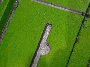 20190420_202223.jpg (4933 просмотра) <a class='original' href='./download/file.php?id=161507&mode=view' target=_blank>Загрузить оригинал (2.62 МБ)</a>