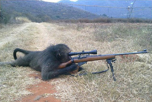 getImage402.jpg (2259 просмотров) <a class='original' href='./download/file.php?id=16312&mode=view' target=_blank>Загрузить оригинал (108.57 КБ)</a>