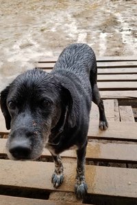 2019-05-09 19-50-58.jpg (2197 просмотров) <a class='original' href='./download/file.php?id=163460&mode=view' target=_blank>Загрузить оригинал (400.35 КБ)</a>