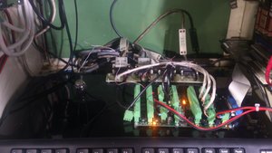 DSC_5609.jpg (160451 просмотр) <a class='original' href='./download/file.php?id=16359&mode=view' target=_blank>Загрузить оригинал (1.36 МБ)</a>