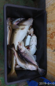 IMG_20190510_075718.jpg (2821 просмотр) <a class='original' href='./download/file.php?id=163938&mode=view' target=_blank>Загрузить оригинал (224.18 КБ)</a>