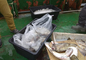 IMG_20190511_113226.jpg (2821 просмотр) <a class='original' href='./download/file.php?id=163939&mode=view' target=_blank>Загрузить оригинал (400.68 КБ)</a>