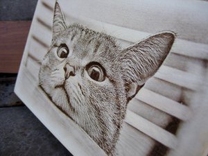 IMG_8829.JPG (7931 просмотр) <a class='original' href='./download/file.php?id=164331&mode=view' target=_blank>Загрузить оригинал (389.02 КБ)</a>