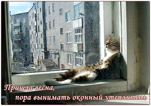 122025752_Ashampoo_Snap_20150326_12h49m54s_003_.jpg (3117 просмотров) <a class='original' href='./download/file.php?id=164533&mode=view' target=_blank>Загрузить оригинал (263.8 КБ)</a>