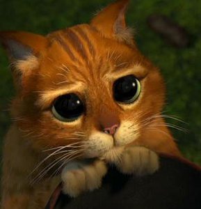 3458715.jpg (4594 просмотра) <a class='original' href='./download/file.php?id=165176&mode=view' target=_blank>Загрузить оригинал (14.46 КБ)</a>