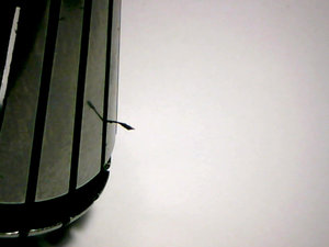 Photo20190702140528633.jpg (138.41 КБ) 2225 просмотров Стружка. Держится хорошо :) (2225 просмотров) <a class='original' href='./download/file.php?id=165591&sid=c07ccb4c08f98dc6679529295d609f03&mode=view' target=_blank>Загрузить оригинал (138.41 КБ)</a>