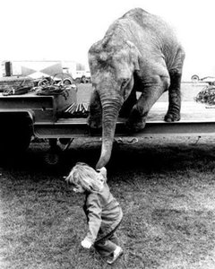 1-57.jpg (2171 просмотр) <a class='original' href='./download/file.php?id=165682&mode=view' target=_blank>Загрузить оригинал (302.05 КБ)</a>