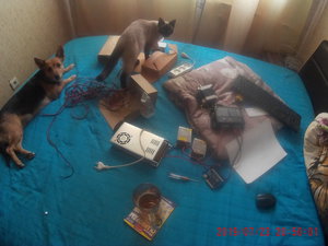 20500004.JPG (4031 просмотр) <a class='original' href='./download/file.php?id=166696&mode=view' target=_blank>Загрузить оригинал (1.03 МБ)</a>