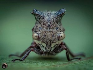 1-581.jpg (1920 просмотров) <a class='original' href='./download/file.php?id=166790&mode=view' target=_blank>Загрузить оригинал (255.8 КБ)</a>