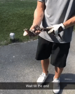 гифки-крокодил-5346949.gif (2693 просмотра) <a class='original' href='./download/file.php?id=166913&mode=view' target=_blank>Загрузить оригинал (11.39 МБ)</a>