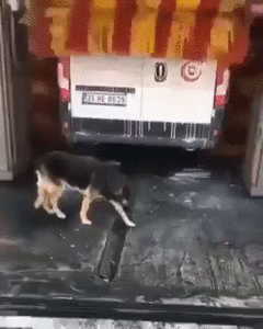 image.gif (3195 просмотров) <a class='original' href='./download/file.php?id=167387&mode=view' target=_blank>Загрузить оригинал (24.33 МБ)</a>