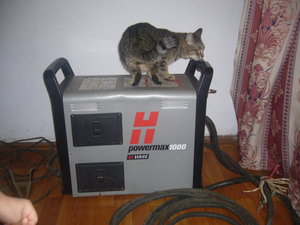 Плазма Хипер. Кот вовремя свалил, иначе тоже подвергся оЧПУшниванию :) (40853 просмотра) <a class='original' href='./download/file.php?id=1676&mode=view' target=_blank>Загрузить оригинал (156.01 КБ)</a>