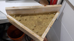 2019-08-09 23-54-45.JPG (4399 просмотров) <a class='original' href='./download/file.php?id=167757&mode=view' target=_blank>Загрузить оригинал (337.78 КБ)</a>