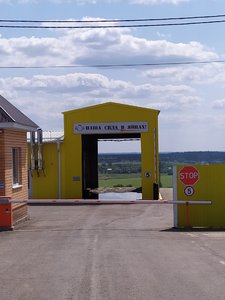 Яйца.jpg (3154 просмотра) <a class='original' href='./download/file.php?id=167828&mode=view' target=_blank>Загрузить оригинал (339.17 КБ)</a>