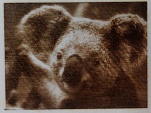 koala.jpg (5521 просмотр) <a class='original' href='./download/file.php?id=168134&mode=view' target=_blank>Загрузить оригинал (1.9 МБ)</a>