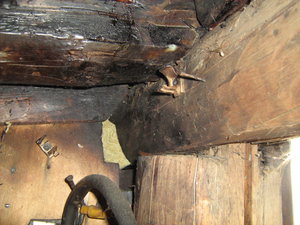 пластиковые держатели гофры - не держат (4051 просмотр) <a class='original' href='./download/file.php?id=168368&mode=view' target=_blank>Загрузить оригинал (1.87 МБ)</a>