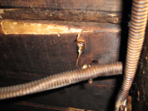 просто плавятся (4051 просмотр) <a class='original' href='./download/file.php?id=168369&mode=view' target=_blank>Загрузить оригинал (1.43 МБ)</a>