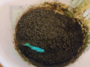 IMG_20190901_220953.jpg (3044 просмотра) <a class='original' href='./download/file.php?id=168406&mode=view' target=_blank>Загрузить оригинал (1.38 МБ)</a>