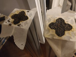 IMG_20190901_223947.jpg (3044 просмотра) <a class='original' href='./download/file.php?id=168407&mode=view' target=_blank>Загрузить оригинал (1.16 МБ)</a>