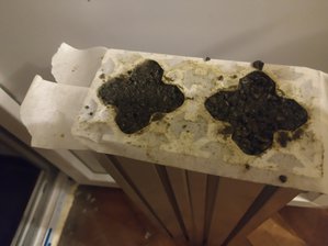 IMG_20190901_223955.jpg (3044 просмотра) <a class='original' href='./download/file.php?id=168408&mode=view' target=_blank>Загрузить оригинал (1.06 МБ)</a>