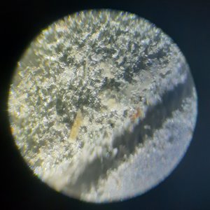 20190909_090354.jpg (3792 просмотра) <a class='original' href='./download/file.php?id=168676&mode=view' target=_blank>Загрузить оригинал (889.14 КБ)</a>