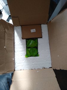 IMG_20190910_094551.jpg (6105 просмотров) <a class='original' href='./download/file.php?id=168723&mode=view' target=_blank>Загрузить оригинал (4.54 МБ)</a>