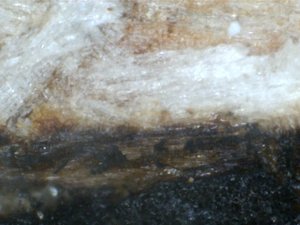 тот же участок при большем увеличении (9894 просмотра) <a class='original' href='./download/file.php?id=1696&mode=view' target=_blank>Загрузить оригинал (224.85 КБ)</a>