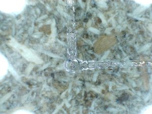 Стекло. от нагрева лазера стекло выкрашивается (9894 просмотра) <a class='original' href='./download/file.php?id=1697&mode=view' target=_blank>Загрузить оригинал (240.49 КБ)</a>