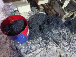 DSC_0123.JPG (3755 просмотров) <a class='original' href='./download/file.php?id=169816&mode=view' target=_blank>Загрузить оригинал (8.8 МБ)</a>