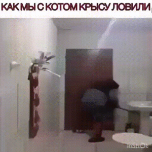 image.gif (2142 просмотра) <a class='original' href='./download/file.php?id=170598&mode=view' target=_blank>Загрузить оригинал (4.35 МБ)</a>