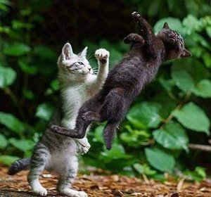 81.jpg (2352 просмотра) <a class='original' href='./download/file.php?id=170779&mode=view' target=_blank>Загрузить оригинал (441.28 КБ)</a>