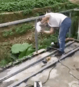 18-57-07-uvlyoxya.gif (2419 просмотров) <a class='original' href='./download/file.php?id=171703&mode=view' target=_blank>Загрузить оригинал (6.25 МБ)</a>