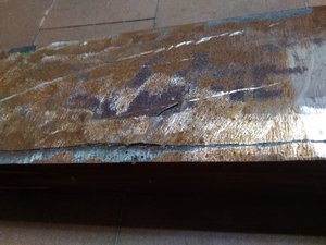 IMG_20191111_235030.jpg (2573 просмотра) <a class='original' href='./download/file.php?id=171788&mode=view' target=_blank>Загрузить оригинал (1.67 МБ)</a>