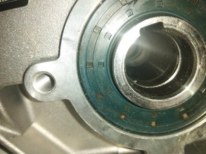 IMG_20191127_124920.jpg (909 просмотров) <a class='original' href='./download/file.php?id=172527&mode=view' target=_blank>Загрузить оригинал (1.46 МБ)</a>