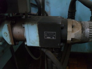 SAM_2156.JPG (17145 просмотров) <a class='original' href='./download/file.php?id=17255&mode=view' target=_blank>Загрузить оригинал (2.55 МБ)</a>