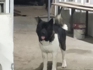 IMG_20191203_185822.jpg (4241 просмотр) <a class='original' href='./download/file.php?id=172952&mode=view' target=_blank>Загрузить оригинал (1.66 МБ)</a>