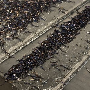 0DEF54B3-ED40-454D-94BA-D8ED054F38A4.jpeg (9558 просмотров) <a class='original' href='./download/file.php?id=173989&sid=169c21222e4dfe8288813861f81dfdd9&mode=view' target=_blank>Загрузить оригинал (1.02 МБ)</a>