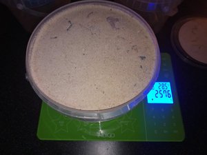 8hyyD5WK1Co.jpg (2380 просмотров) <a class='original' href='./download/file.php?id=174663&sid=440e6e043e93eb1ce63595a0a1ad709d&mode=view' target=_blank>Загрузить оригинал (352.09 КБ)</a>